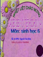 Bài 14. Thân dài ra do đâu ?