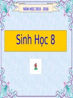 Bài 41. Cấu tạo và chức năng của da