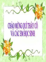 Bài 53. Hoạt động thần kinh cấp cao ở người