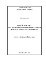 Phân tích cấu trúc của một số dẫn xuất benzofindole1,4dione bằng các phương pháp hóa lý hiện đại (LV thạc sĩ)