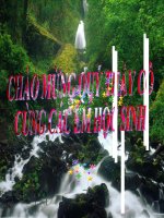 Bài 22. Luyện tập: Tính chất của kim loại