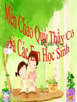 Bài 47. Thực vật bảo vệ đất và nguồn nước