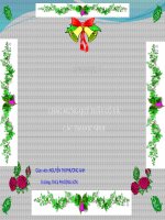 Bài 50. Đa dạng của lớp Thú: Bộ Ăn sâu bọ, bộ Gặm nhấm, bộ Ăn thịt