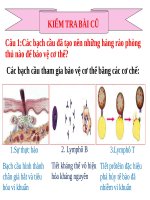 Bài 15. Đông máu và nguyên tắc truyền máu