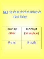 Tuần 26. MRVT: Từ ngữ về sông biển. Dấu phẩy