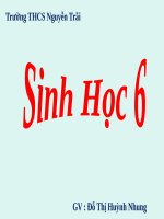 Bài 10. Cấu tạo miền hút của rễ