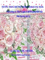 Bài 38. Luyện tập: Tính chất hóa học của crom, đồng và hợp chất của chúng