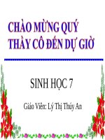 Bài 54. Tiến hoá về tổ chức cơ thể