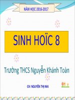 Bài 19. Thực hành: Sơ cứu cầm máu