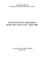 Cẩm nang xuất nhập khẩu hàng hóa việt nam  châu phi 