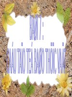 Bài 7. Cấu tạo tế bào thực vật