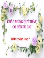 Bài 25. Nhện và sự đa dạng của lớp Hình nhện