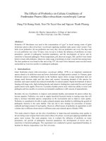 Probiotics on larvae macrobranchium 