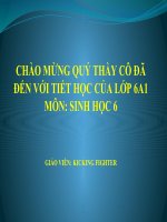 Bài 49. Bảo vệ sự đa dạng của thực vật