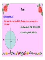 Ve trang tri hinh tron 