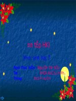 Bài 30. Ôn tập phần I - Động vật không xương sống