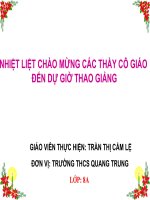 Bài 53. Hoạt động thần kinh cấp cao ở người
