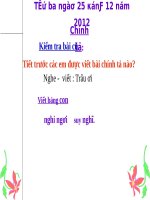 Tuần 17. Nghe-viết: Tìm ngọc