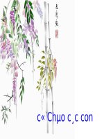 Tuần 3. Bạn của Nai Nhỏ