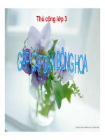 Gap cat dan bong hoa 