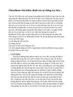 Glutathione chìa khóa chính của sự chống oxy hóa