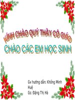 Bài 48. Đa dạng của lớp Thú: Bộ Thú huyệt, bộ Thú túi