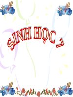 Bài 39. Cấu tạo trong của thằn lằn