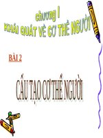 Bài 2. Cấu tạo cơ thể người