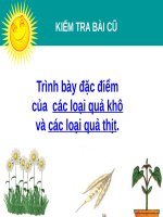 Bài 33. Hạt và các bộ phận của hạt