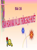 Bài 16. Tuần hoàn máu và lưu thông bạch huyết