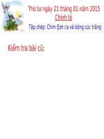 Tuần 21. Tập chép: Chim sơn ca và bông cúc trắng