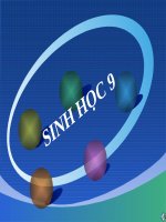 Bài 2. Lai một cặp tính trạng