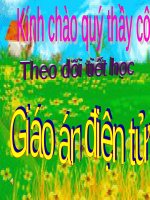 Tuần 20. Chữ hoa: Q