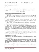 phân tích photpho tổng trong nước
