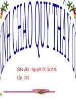 Tuần 14. Tập chép: Tiếng võng kêu