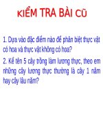 Bài 5. Kính lúp, kính hiển vi và cách sử dụng