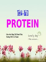 Bài 53. Protein