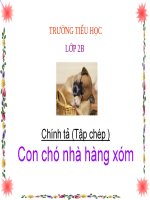 Tuần 16. Tập chép: Con chó nhà hàng xóm