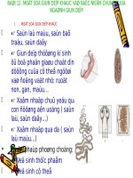 Bài 12. Một số giun dẹp khác và đặc điểm chung của ngành Giun dẹp