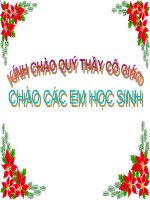 Bài 48. Đa dạng của lớp Thú: Bộ Thú huyệt, bộ Thú túi