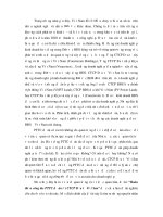 Hoàn thiện công tác phân tích tài chính dự án tại công ty cổ phần đầu tư việt san (tt) 