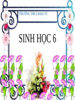 Bài 3. Đặc điểm chung của thực vật