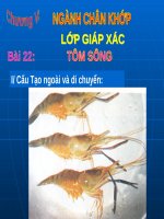 Bài 22. Tôm sông