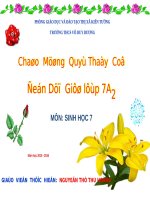 Bài 10. Đặc điểm chung và vai trò của ngành Ruột khoang