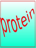 Bài 53. Protein
