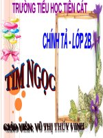Tuần 17. Nghe-viết: Tìm ngọc
