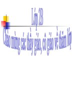 Tuần 14. Câu chuyện bó đũa