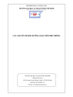 CÁC CHUYÊN ĐỀ BỒI DƯỠNG GIÁO VIÊN PHỔ THÔNG