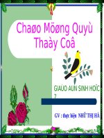Bài 10. Đặc điểm chung và vai trò của ngành Ruột khoang