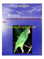 Giáo án bài giảng Toán lớp 3 Thu